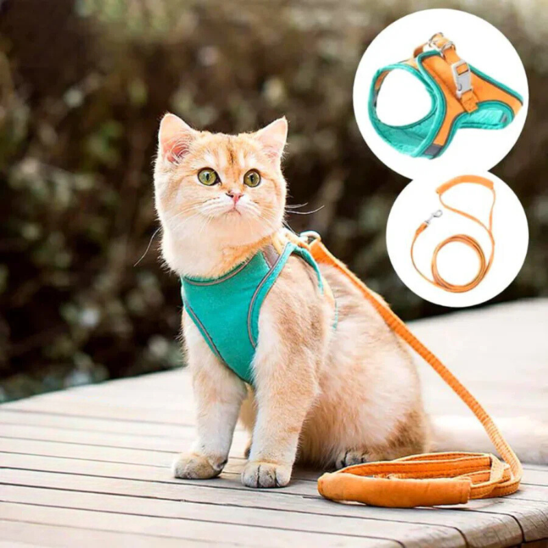 Behagelig og sikker katte sele - Ideell for turer