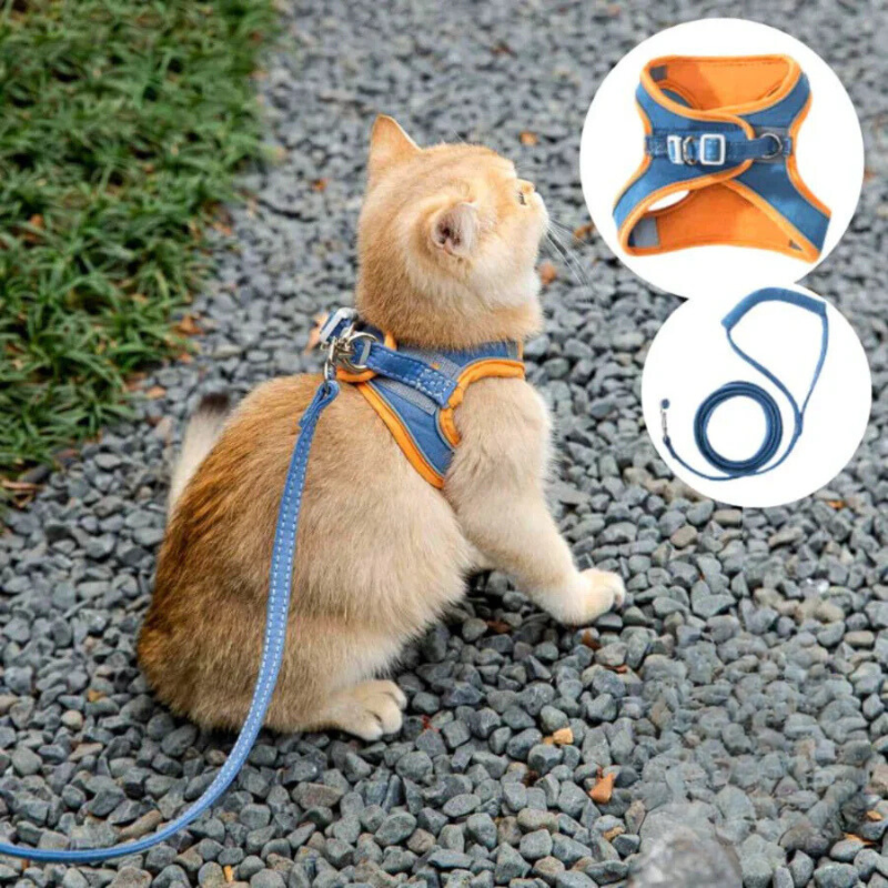 Behagelig og sikker katte sele - Ideell for turer