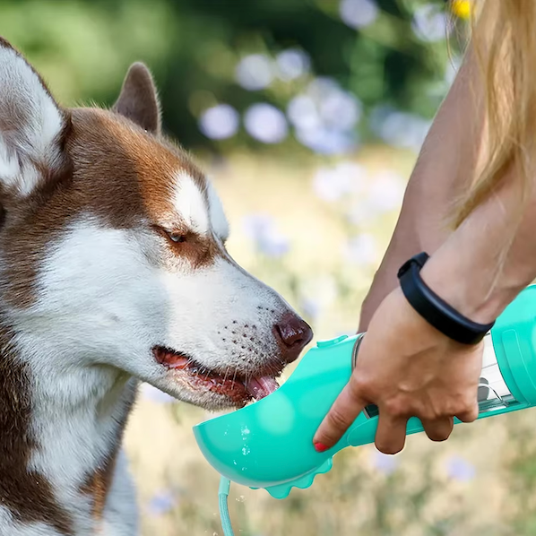 4-in-1 Flasche zur Hydration und Ernährung Ihres Hundes 